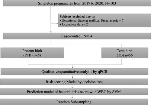 김영주 (Young Ju Kim)교수님의 연구가 American Journal of Reproductive Immunology에 출판되었습니다!